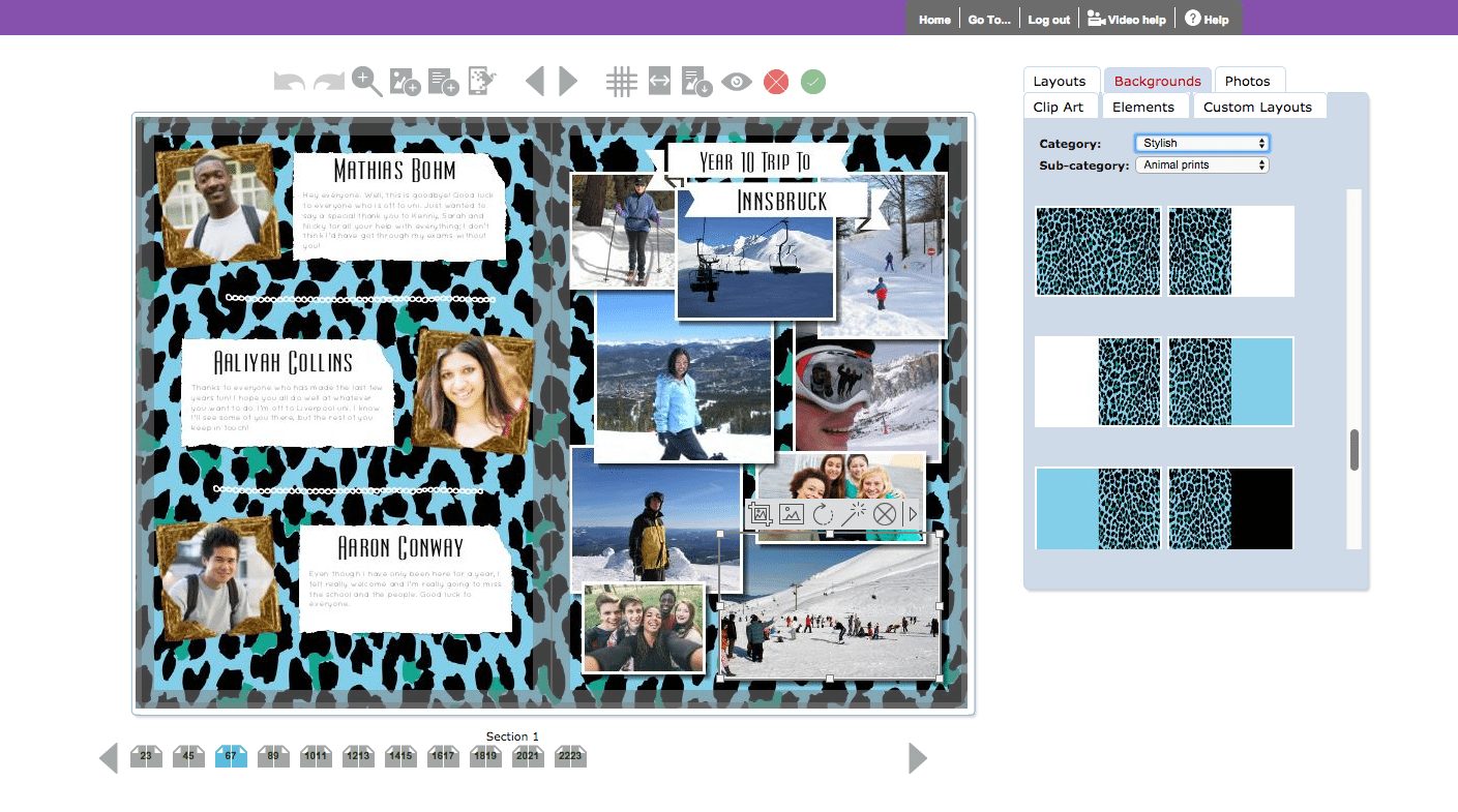 Animal Print Backgrounds in Yearbook Hub