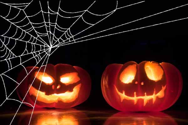 halloween pumpkins and cobweb