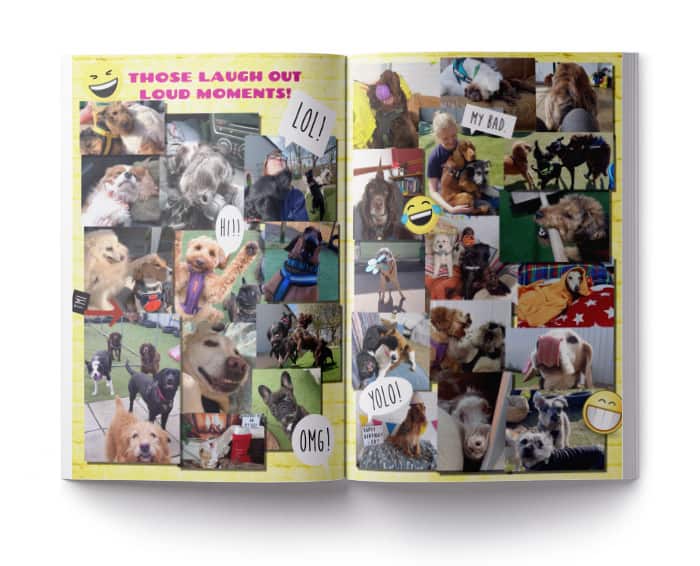 laugh out loud moments page