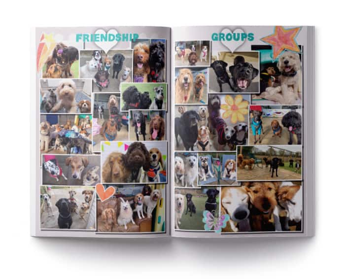 friendship group yearbook pages